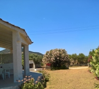 Singola04.jpg