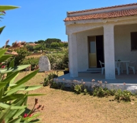 Singola08.jpg